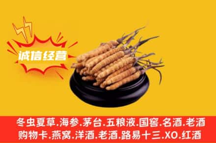 澄迈县回收冬虫夏草